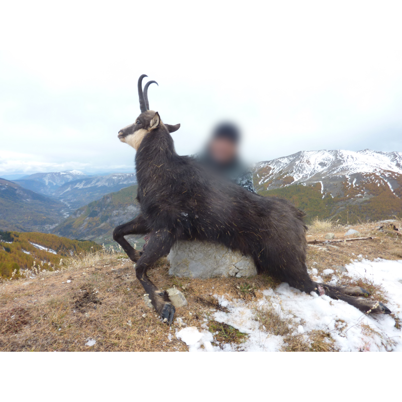 hunter and chamois trophy in France