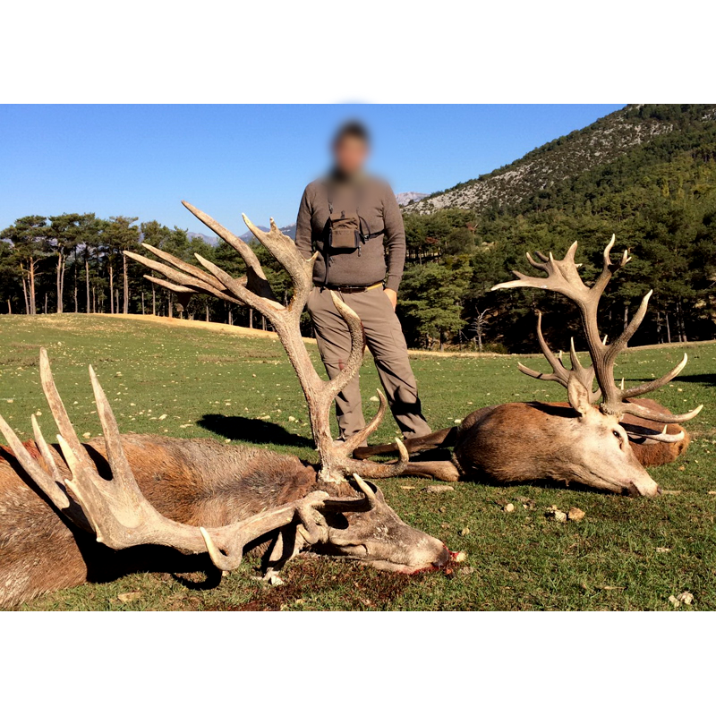 red deer trophies harvested in France