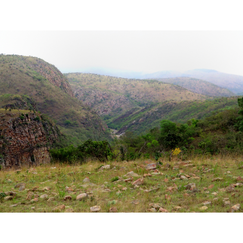 Zone de chasse en Afrique du Sud