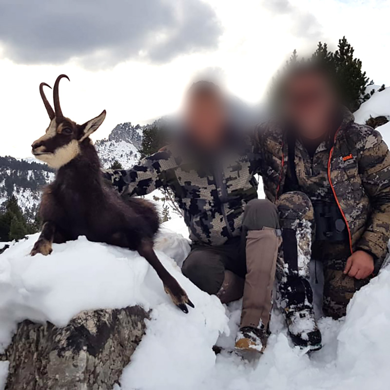 Bronze medal Chartreuse Chamois trophy hunt in November 2019