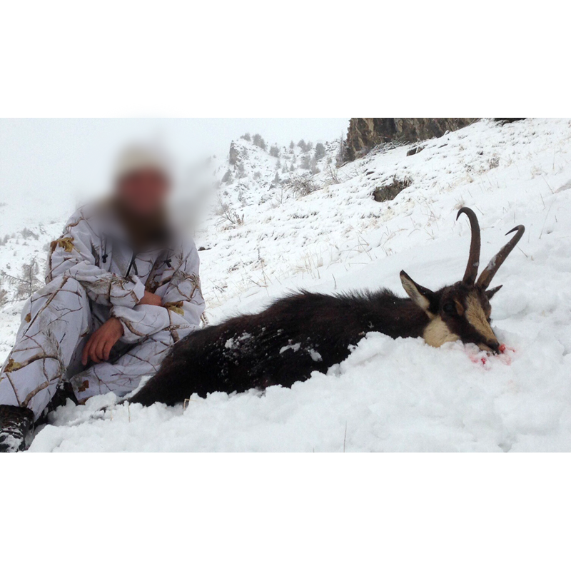 chamois hunt in the mountains of France