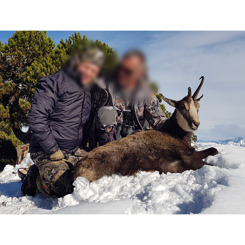 chartreuse chamois short hunt