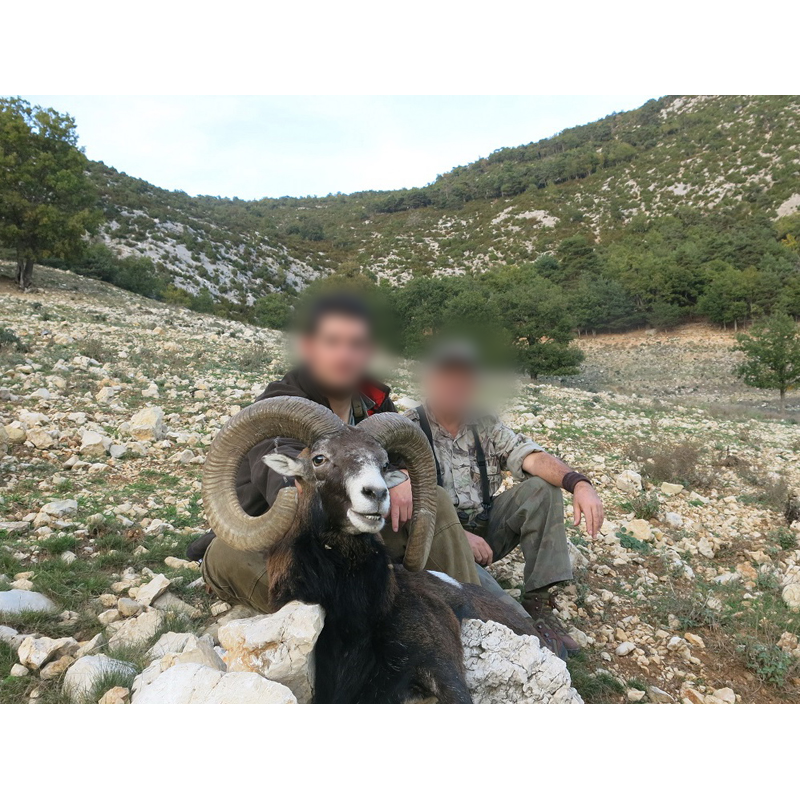 hunters and mouflon trophy taken in France