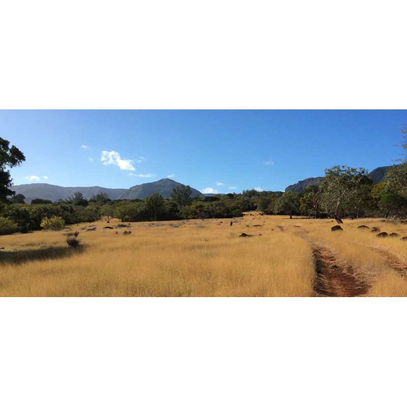 hunting area for Javan rusa deer hunt in Mauritius