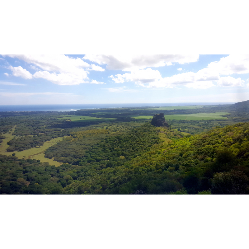 aeral view on the hunting area