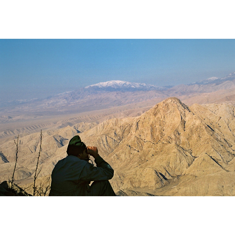 a hunter looking for an endemic species of mouflon or ibex - chasse aux mouflons et bouquetins