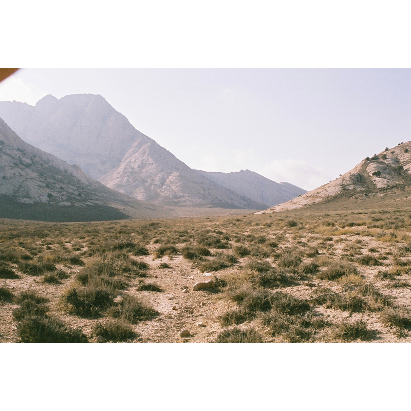 ibex hunting area in Iran