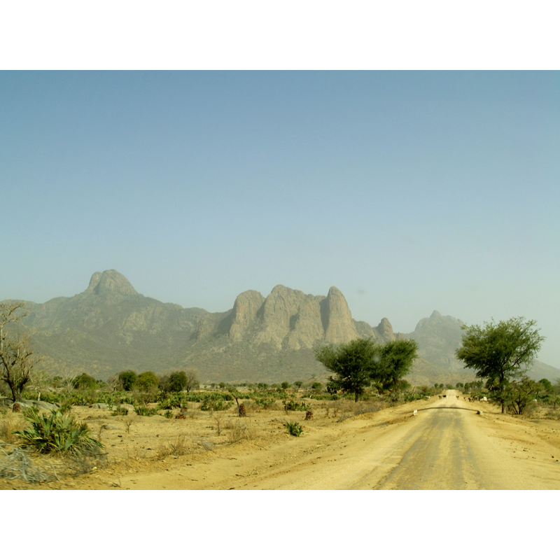 on the road to Melfi hunting area