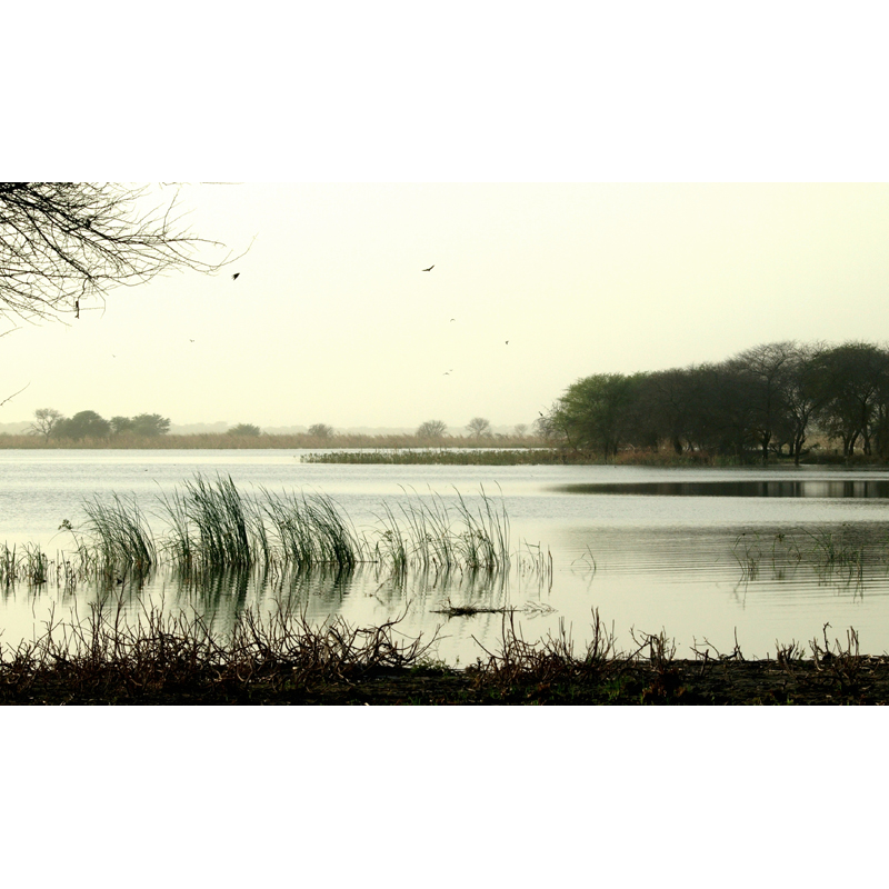 Melfi hunting area in Chad