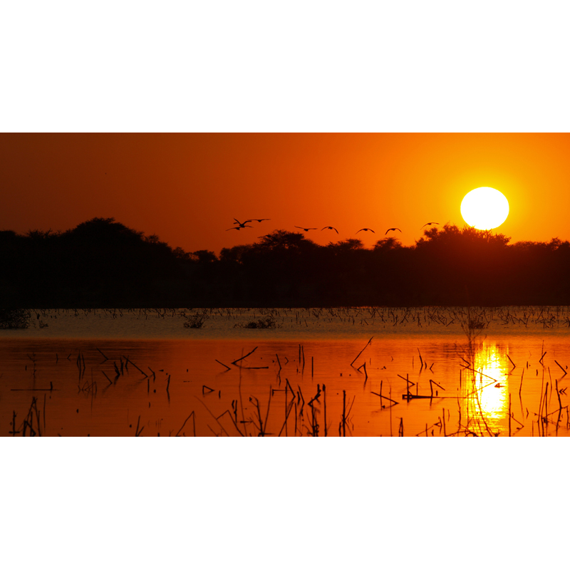 beautiful sunset on the river