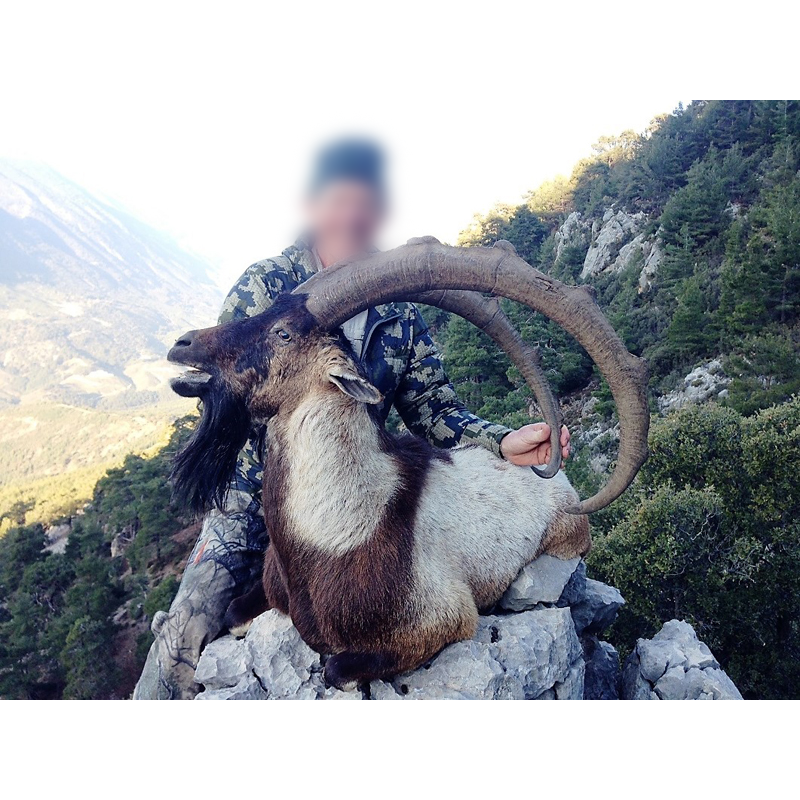 chasseur et son trophée de bouquetin bezoar en Turquie