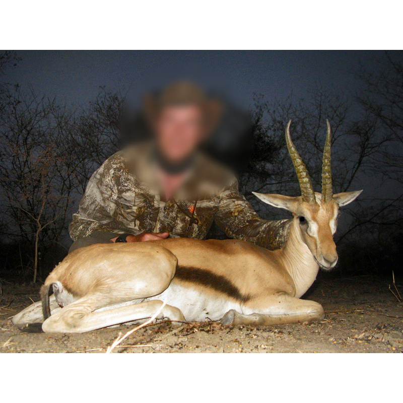 red fronted-gazelle hunt in Chad