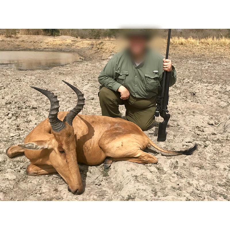 Lelwel Hartebeest hunted in Chad in 2019