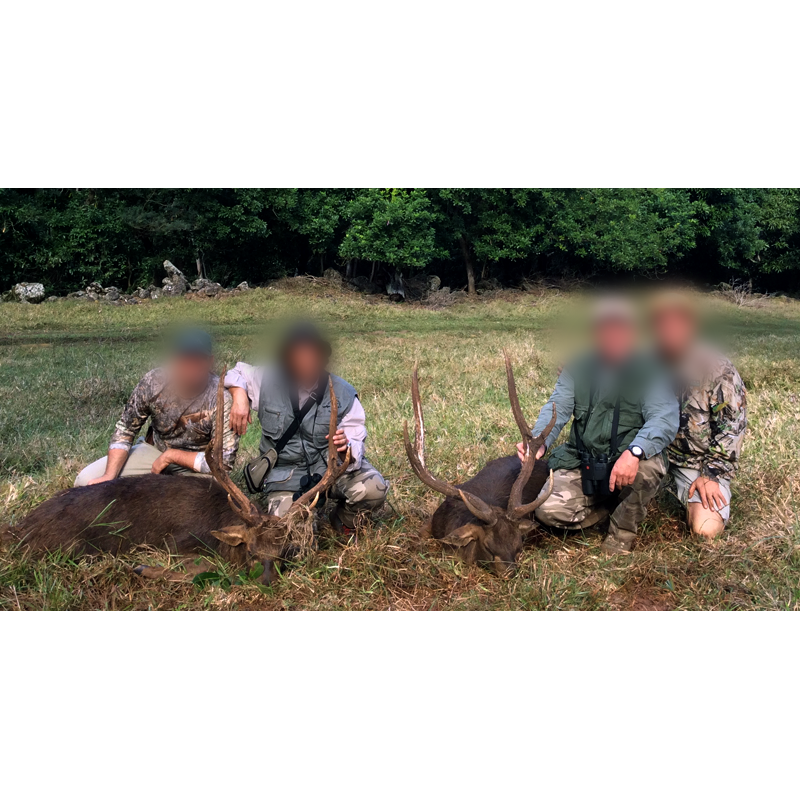 two Javan rusa deer trophies and hunting teams in Mauritius