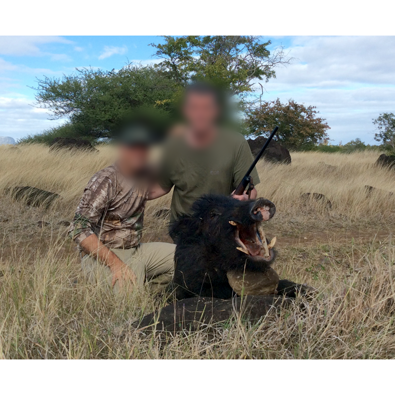 wild boar hunting in Mauritius