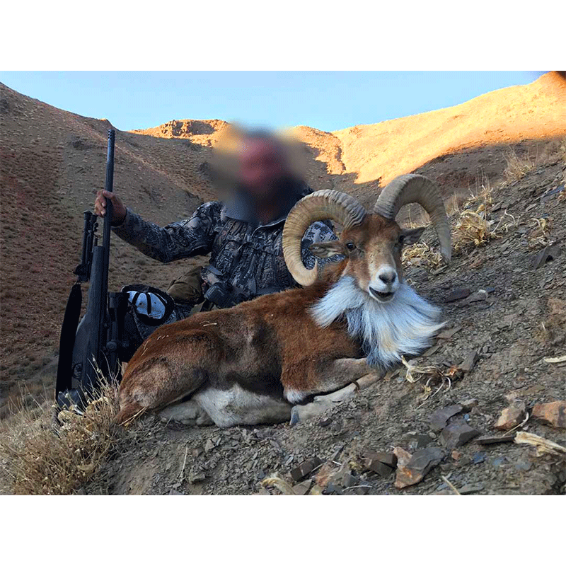 Hunter with Afghan Urial trophy in Iran - Chasseur et son trophée d'Urial d'Afghanistan