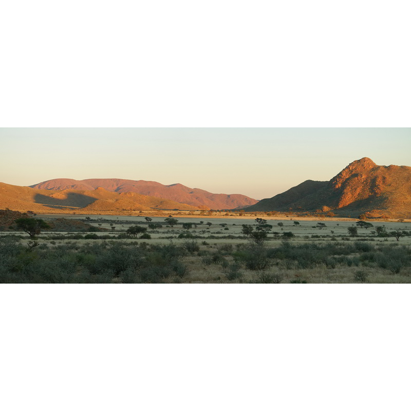 Vue sur le territoire de chasse du désert du Namib en Namibie
