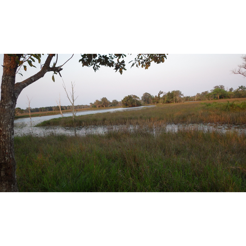 Zone de chasse au Mozambique et Zimbabwe