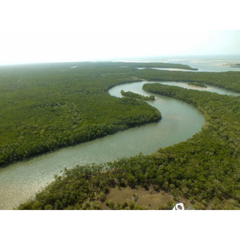 Marromeu zone de chasse au Mozambique