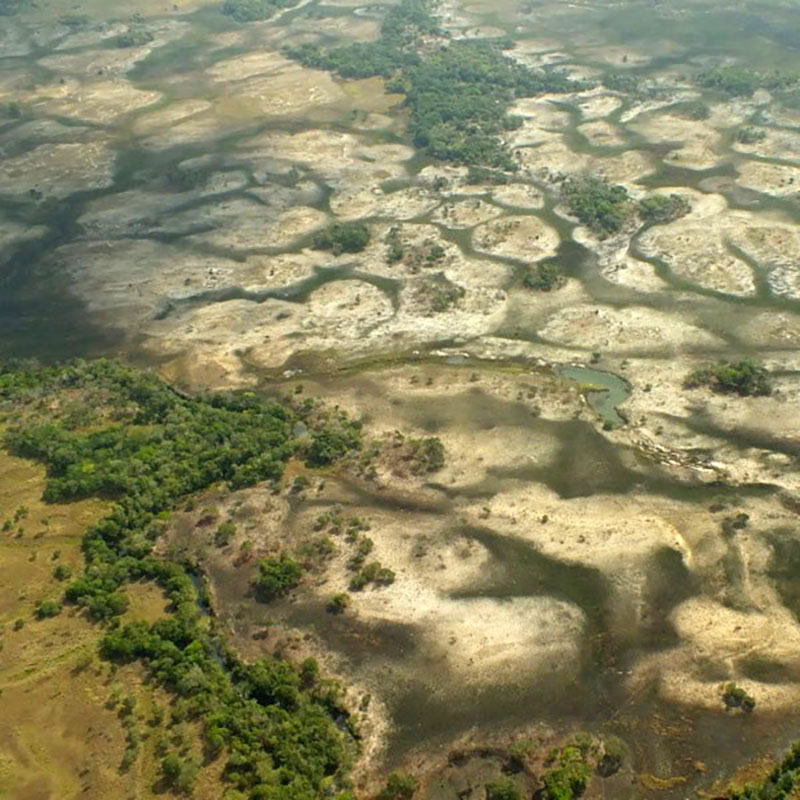 Territoire de chasse de Marromeu au Mozambique