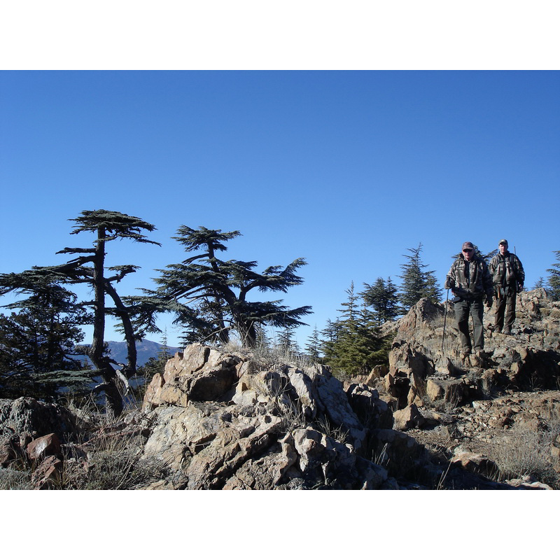 Chasseurs sur une zone de chasse en Turquie