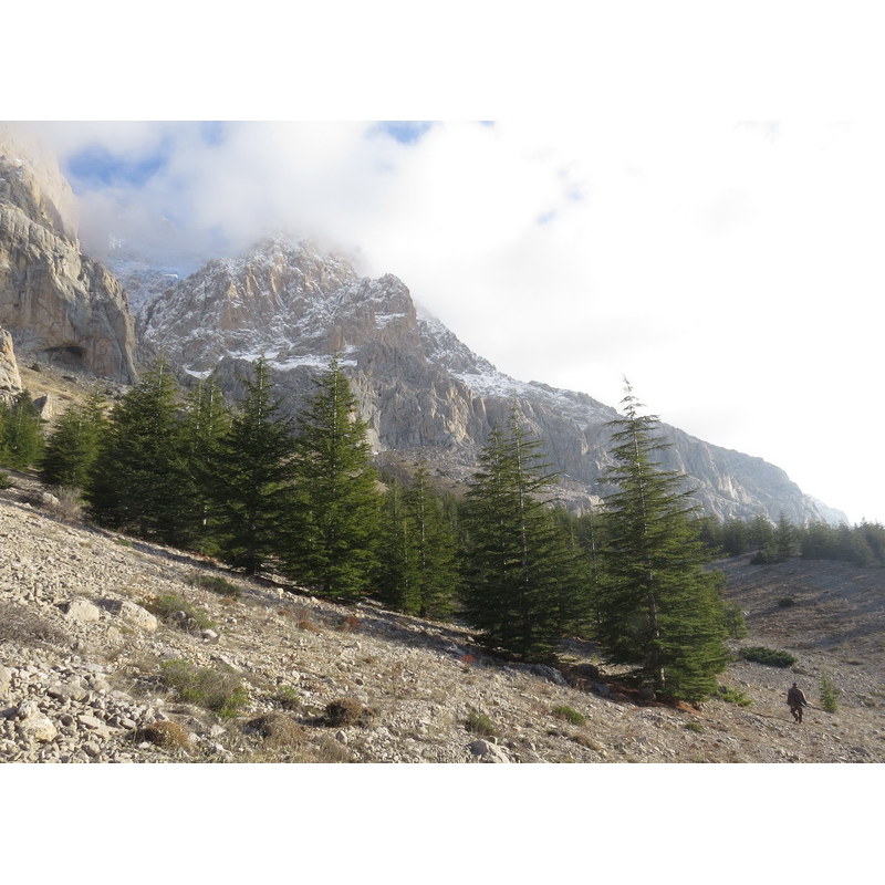 Zone de chasse en Turquie