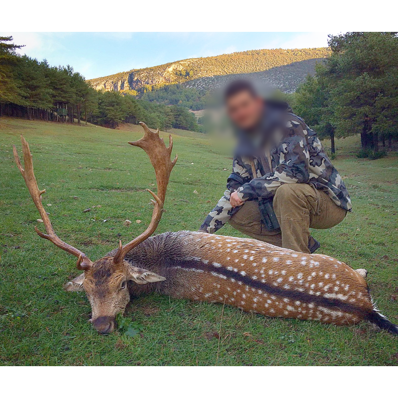 experienced hunter on a quest of a fallow deer trophy