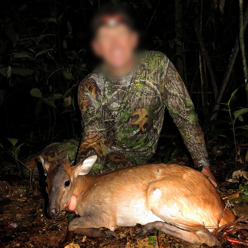 Hunter with Gabon duiker (white-bellied duiker)