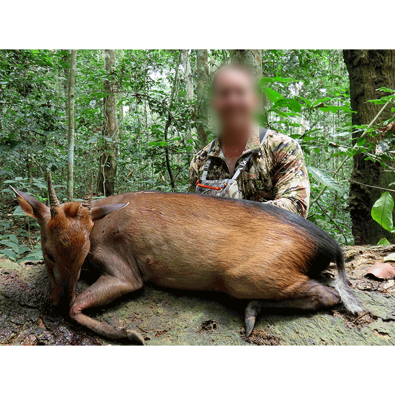 A hunter with his Peters duiker trophy