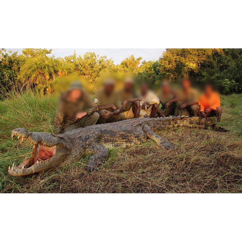 Equipe de chasse et trophée de crocodile à Marromeu