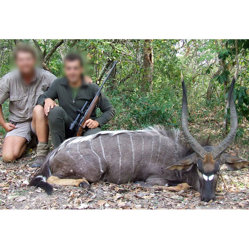 Chasseur, guide et trophée de Nyala