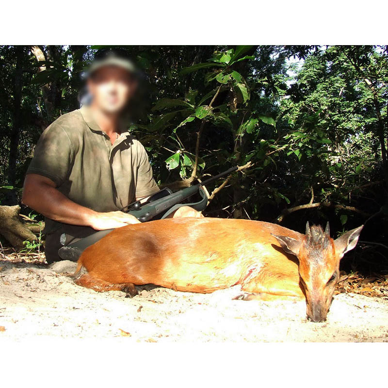 Trophée de céphalophe sur la zone de chasse de Marromeu