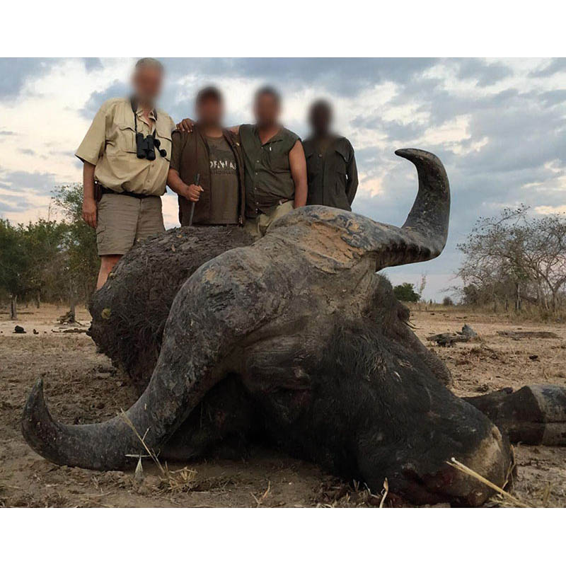 Equipe de chasse autour de leur prise du jour, un buffle Caffer