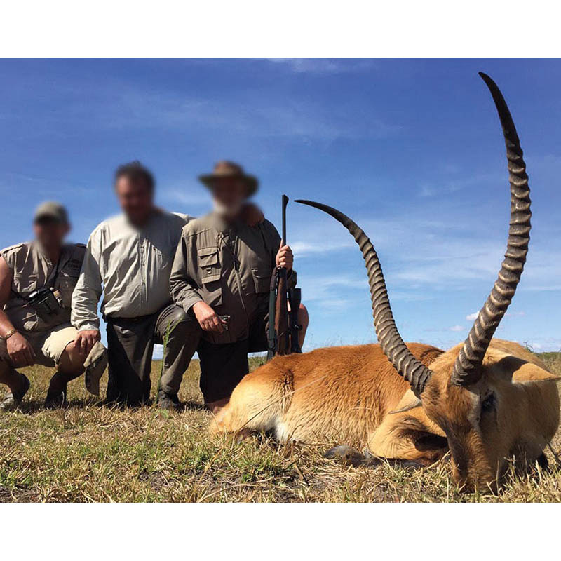 Lechwe tiré en Zambie