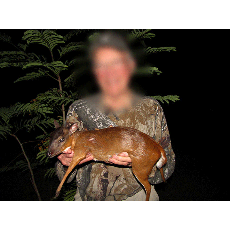 Hunter in Ghana with Royal Antelope trophy